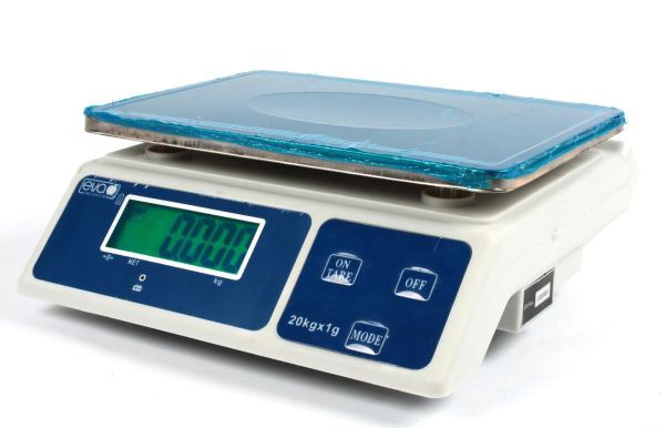 Stainless steel digital scale up to 30 kg. 