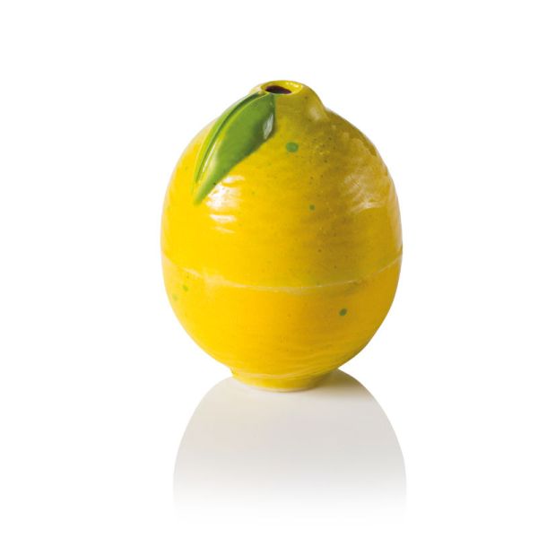 LEMON: ChocoFruit magnetic 3D polycarbonate mold