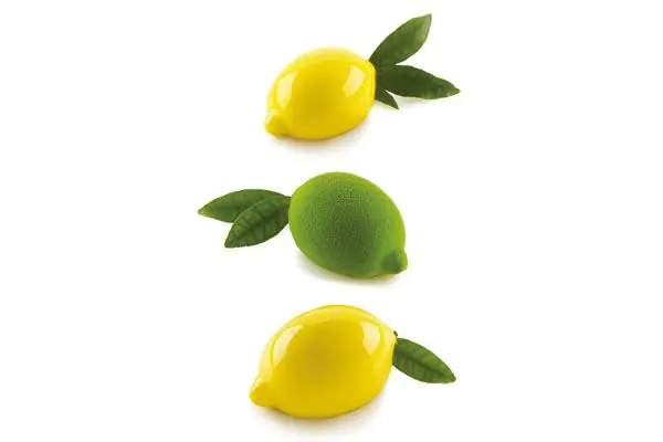 Silicone mould BIG LEMON + plastic support by Silikomart Professional