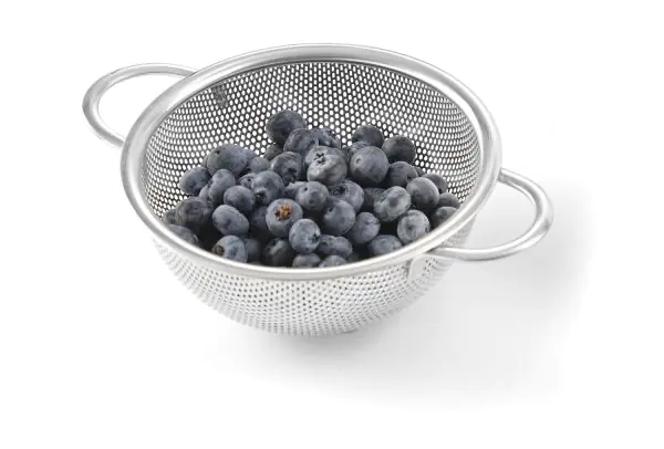 Perforated stainless steel basket D. 165 x H 65 mm.