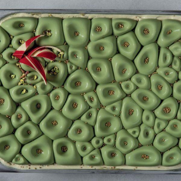 CORAL decorative silicone moulds for gelato half pans mm 361,5x152x21,5 h ~ 651 ml