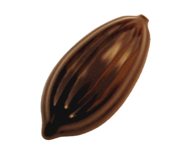 Moule en polycarbonate fruit du cacao