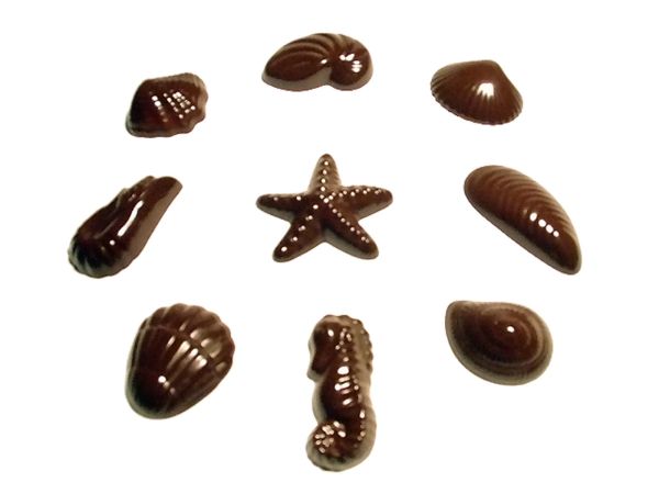 Chocolate seafoods polycarbonate mold: 18 pralines