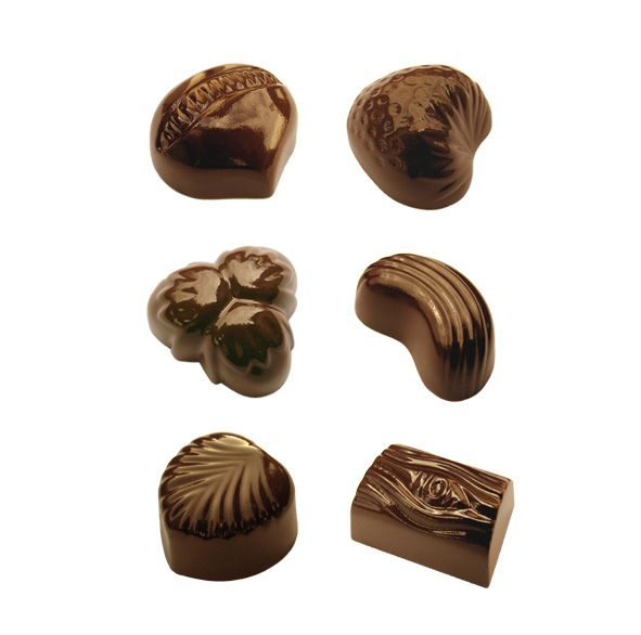 Polycarbonate chocolates mould 6 Nature Pralines