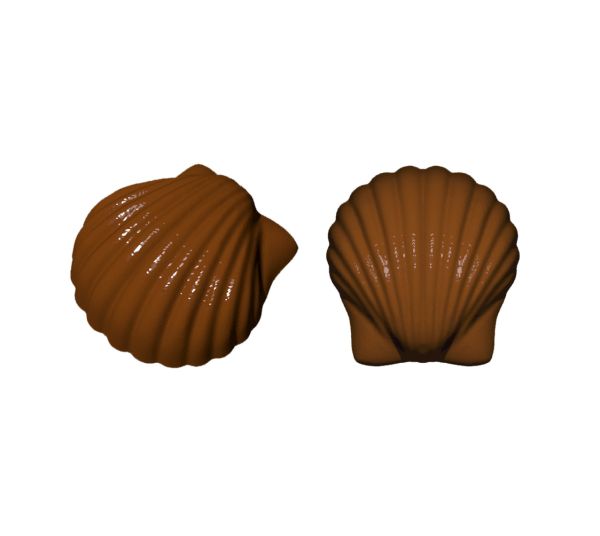 Sea Shell Polycarbonate Chocolate Mold