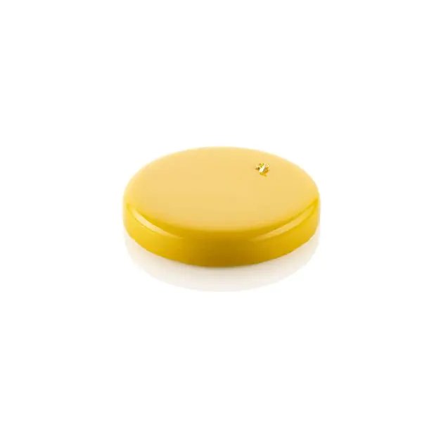 Silikomart Professional Silicone Molds: TOR Ø180 H 30 MM