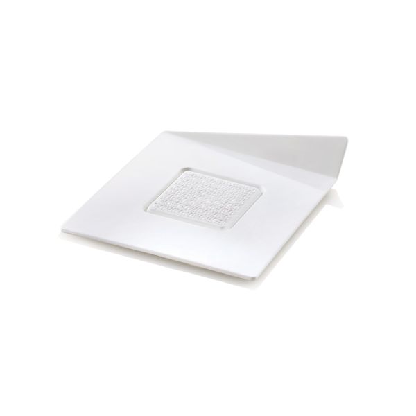 SET 100 WHITE TRAYS - SQUARE 83X83 MM di Silikomart Professional.