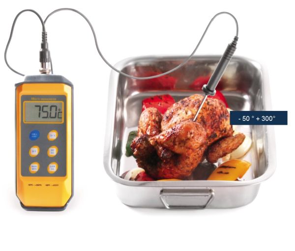 Shock proof thermometer with probe