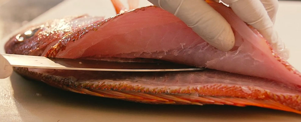 Pulire il pesce: strumenti per una cucina ben attrezzata